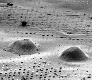 TESCAN FIB-SEM Solutions for Life Sciences