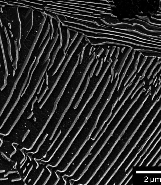 TESCAN SEM Solutions