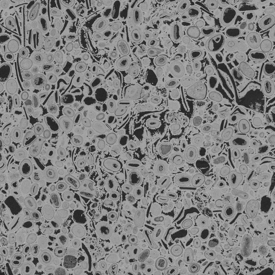 Savonnieres Limestone - 2D virtual cross section