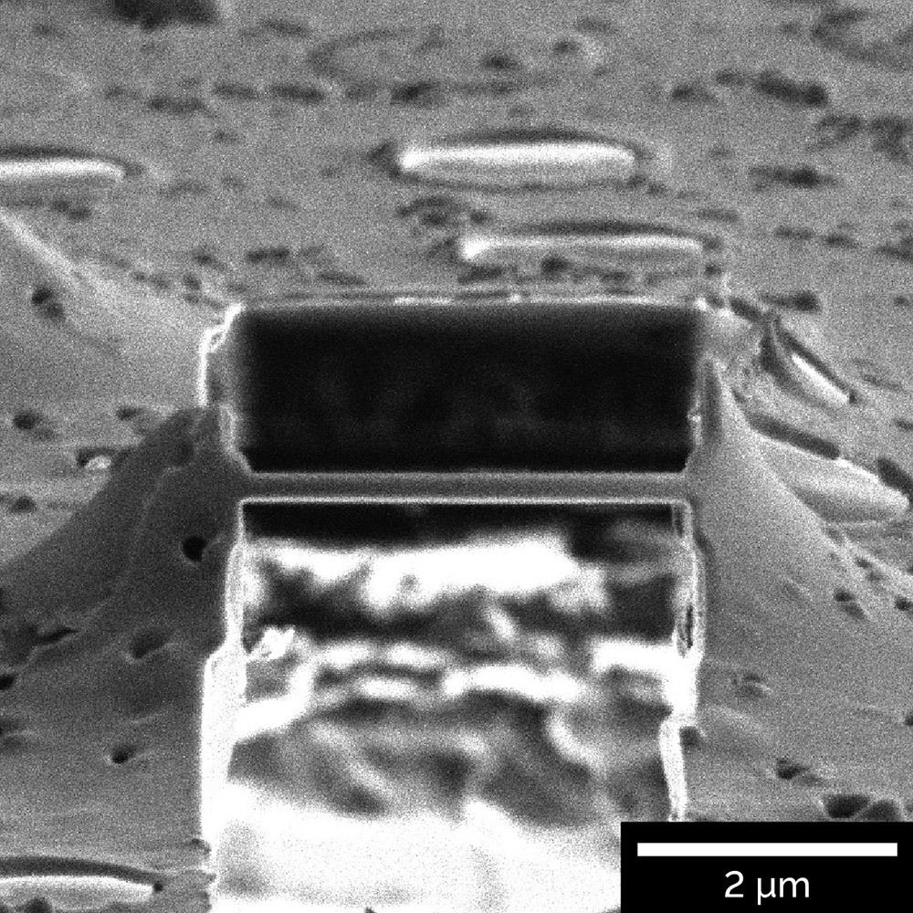 Overview image of on-grid lamella inside the cell