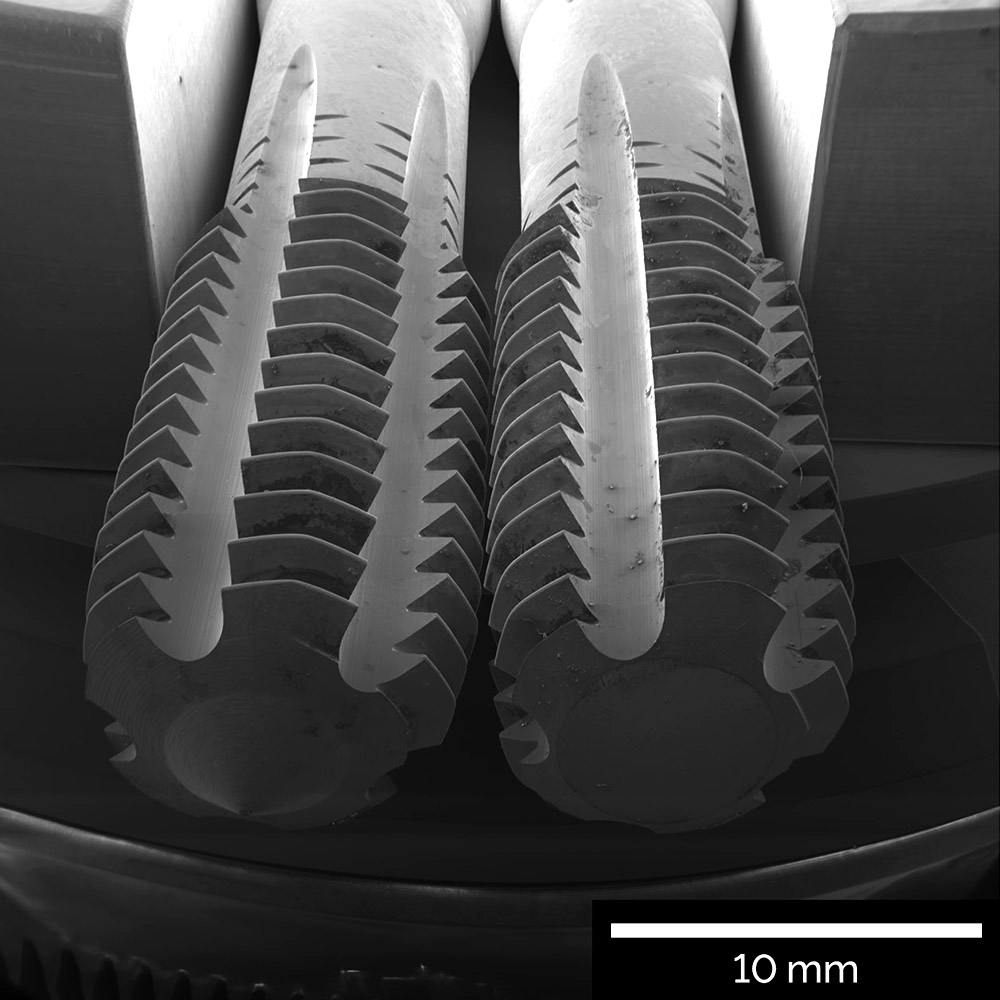 Wide Field mode for large sample imaging and navigation