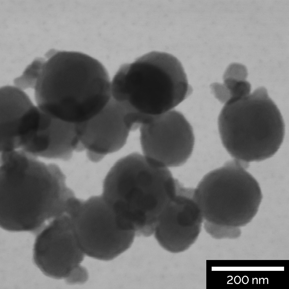 Morphology of nanoparticles used in drug delivery research visualized by R-STEM detector at 30 keV