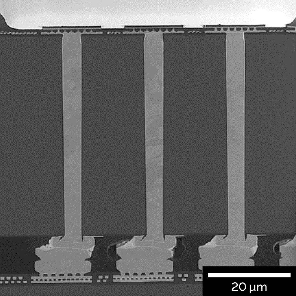 Cross-section of a TSV array