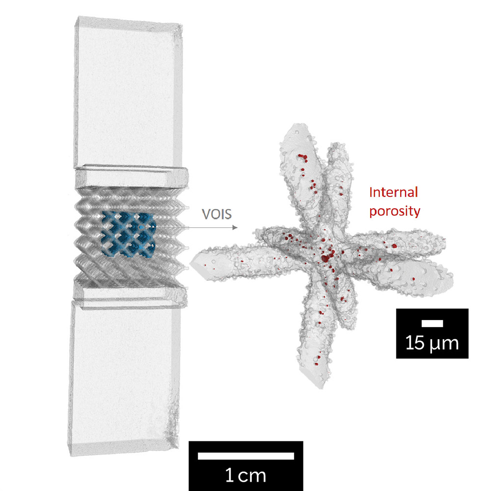 TESCAN UniTOM XL micro-CT-System :: Forschungsinfrastruktur