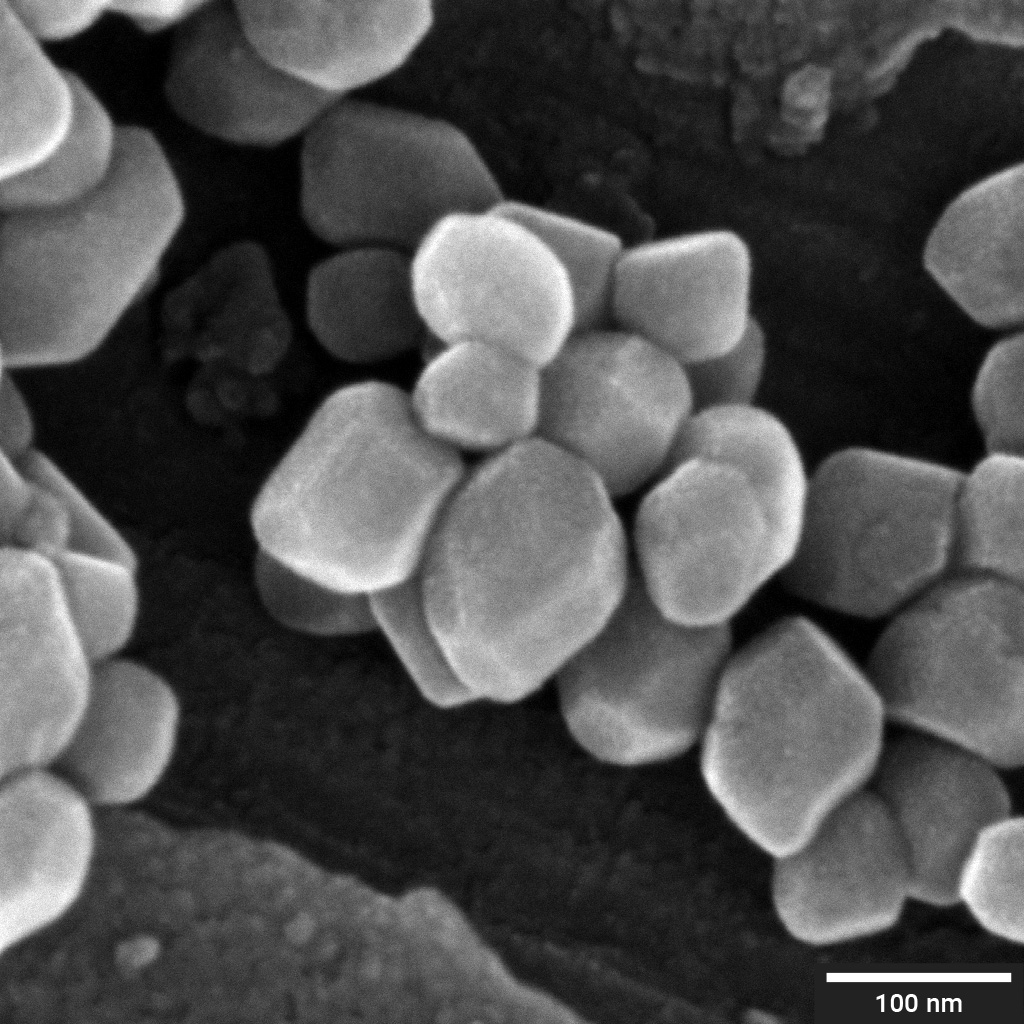 TiO2 nanoparticles imaged with SE detector at 10 keV